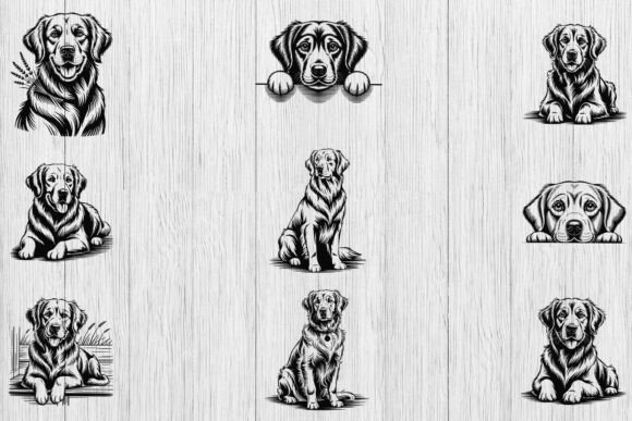 Golden Retriever SVG Bundle – An Embroidery Designer’s Hands-On Review